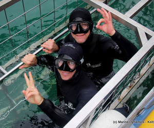 Daily Blog: 05 April 2021 | Shark Cage Diving in South Africa