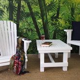 Treated Pine Outdoor Furniture - Homewood Bound - Xplorio™ Bredasdorp