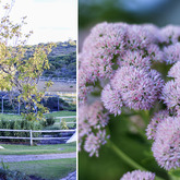 Beautiful Garden - Bodhi Khaya Nature Retreat - Xplorio™ Gansbaai