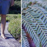 Walk in Nature - Bodhi Khaya Nature Retreat - Xplorio™ Gansbaai