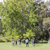 Chi Kung Under Trees - Bodhi Khaya Nature Retreat - Xplorio™ Gansbaai