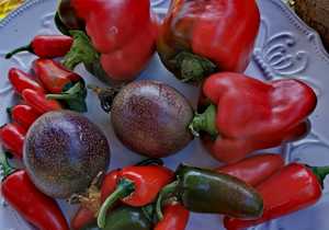 Our herb garden is doing great!