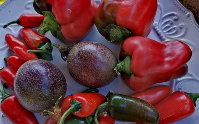 WhatsApp_Image_2021_04_08_at_16.26.09_1617958679