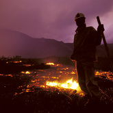 Fire Management - Walker Bay Fynbos Conservancy - Xplorio™ Gansbaai