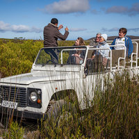 4X4 Routes - Walker Bay Fynbos Conservancy - Xplorio™ Gansbaai