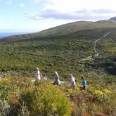 Hiking - Walker Bay Fynbos Conservancy - Xplorio™ Gansbaai