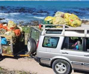 Beach Clean-up by Jason and Crew