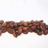 Coffee Beans - Raging Goose Coffee - Xplorio™ Gansbaai