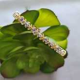 Tanzanites and Diamonds of Hermanus - Xplorio™ Hermanus