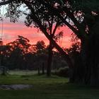 Autumn Sunset - Beloftebos Farm Cottages - Xplorio™ Stanford Autumn Sunset - Beloftebos Farm Cottages - Xplorio™ Stanford