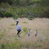 Walker Bay Fynbos Conservancy - Xplorio™ Gansbaai