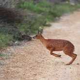 Walker Bay Fynbos Conservancy - Xplorio™ Gansbaai