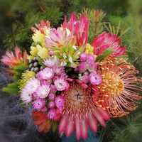 Flowers - Walker Bay Fynbos Conservancy - Xplorio™ Gansbaai