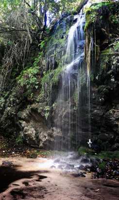 e565ba6f_2c82_4520_85bf_c32f2cc9b058_1618567672