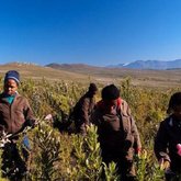 Walker Bay Fynbos Conservancy - Xplorio™ Gansbaai