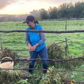 Sunrise - Beloftebos Farm Cottages - Xplorio™ Stanford