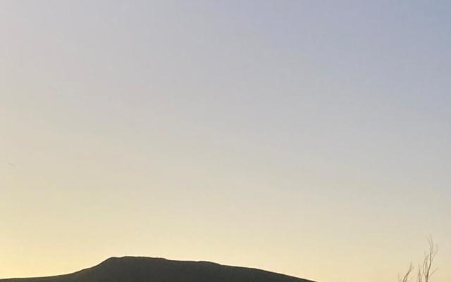 WhatsApp_Image_2021_04_18_at_07.36.32_1618815795