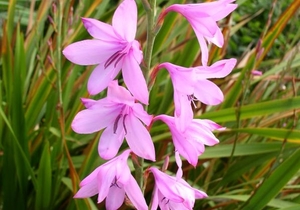 Reaching the Thousands