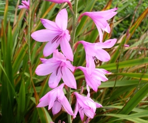 Reaching the Thousands