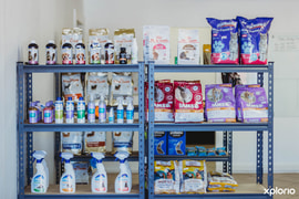 The Right Food For Your Pet