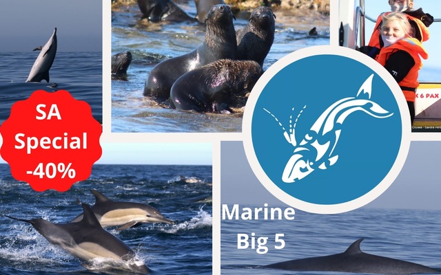 40discount_marine_big_5_additional_1618914551