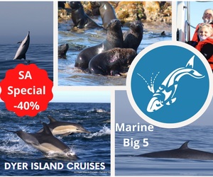 Next Dyer Island Marine Big 5 Tour: 21 April 2021