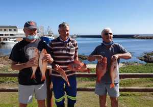 April Monthly Competition