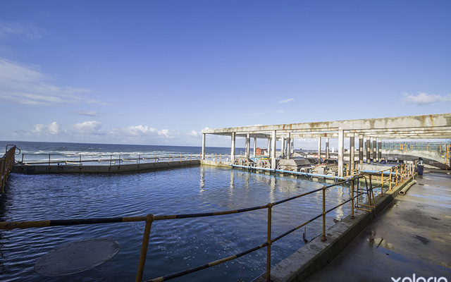 hermanus_things_to_do_abalone_tours_heart_of_abalone_pumping_fresh_water_from_the_ocean_1566997162_1619157918