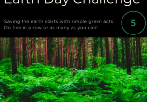 World Earth Day 2021 - We Support Green