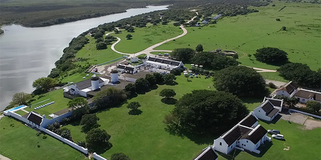 de_hoop_collection_1cbe2_1619164336