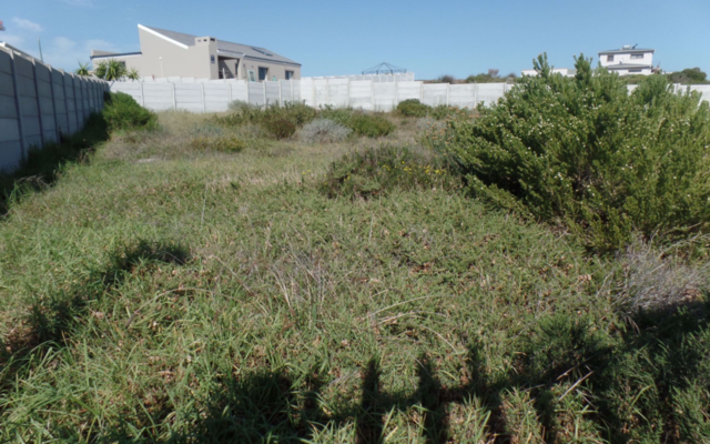 pam_golding_image_3_1619441570