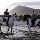 Beach Horse Riding - Horse Riding Gansbaai - Xplorio™ Gansbaai Beach Horse Riding - Horse Riding Gansbaai - Xplorio™ Gansbaai