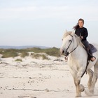 Beach Horse Riding - Horse Riding Gansbaai - Xplorio™ Gansbaai Beach Horse Riding - Horse Riding Gansbaai - Xplorio™ Gansbaai