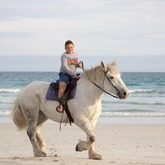 Beach Horse Riding - Horse Riding Gansbaai - Xplorio™ Gansbaai