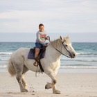 Beach Horse Riding - Horse Riding Gansbaai - Xplorio™ Gansbaai Beach Horse Riding - Horse Riding Gansbaai - Xplorio™ Gansbaai