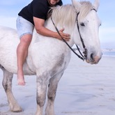 Beach Horse Riding - Horse Riding Gansbaai - Xplorio™ Gansbaai