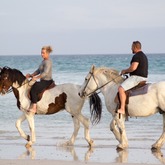 Beach Horse Riding - Horse Riding Gansbaai - Xplorio™ Gansbaai