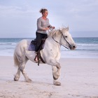 Beach Horse Riding - Horse Riding Gansbaai - Xplorio™ Gansbaai Beach Horse Riding - Horse Riding Gansbaai - Xplorio™ Gansbaai