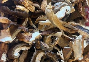 Porcini Mushroom Soup