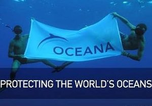 Tragedy Continues to Chile - Gansbaai Daily News