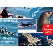 Next Dyer Island Marine Big 5 Trip: 12 May 2021