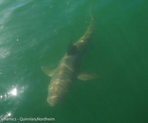 Daily Blog: 11 May 2021 | Shark Cage Diving South Africa