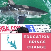 Next Marine Dynamics Shark Cage Tour: 13 May 2021