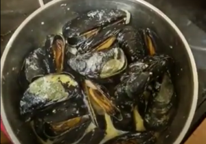 Forage For Your Own Mussels