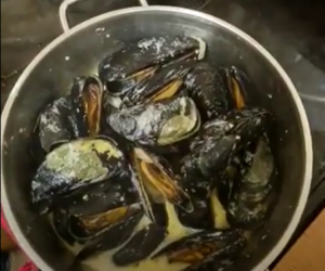 Forage For Your Own Mussels