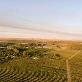 Olivedale Vineyards - Agulhas Wine Triangle