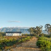 Olivedale Wines - Agulhas Wine Triangle