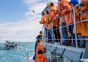 Next Dyer Island Marine Big 5 Trip: 14 May 2021