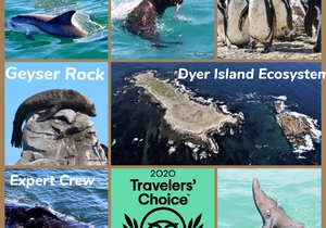19 May 2021: Next Dyer Island Marine Big 5 Trip