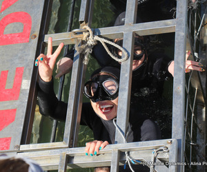 Daily Blog: 18 May 2021 | Shark Cage Diving in South Africa